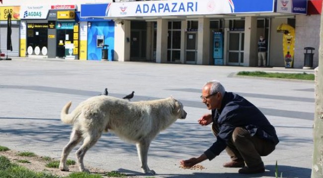 Sokaklar boş kaldı ama o izin alıp hayvanları besledi