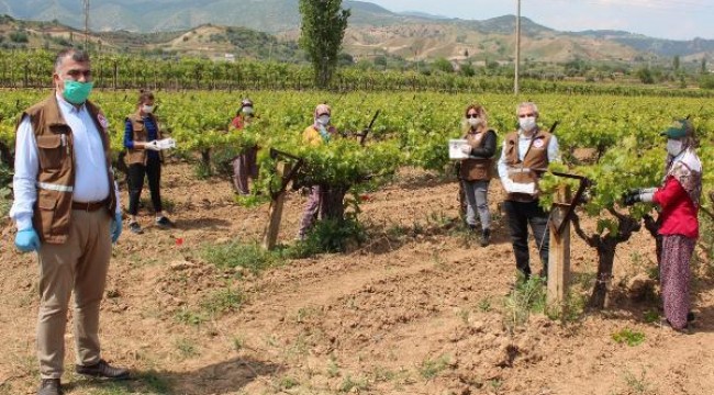 Tarım işçilerine 'koronavirüs' bilgilendirmesi