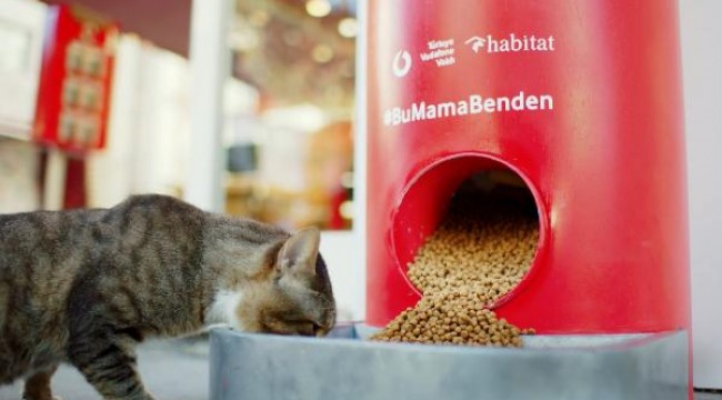 TVV sokak hayvanlarını uzaktan beslemeye davet ediyor