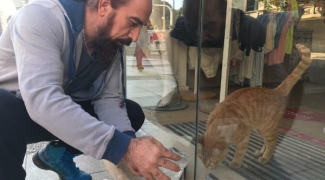 2 gün boyunca mağazada aç ve susuz kalan kedi kurtarıldı