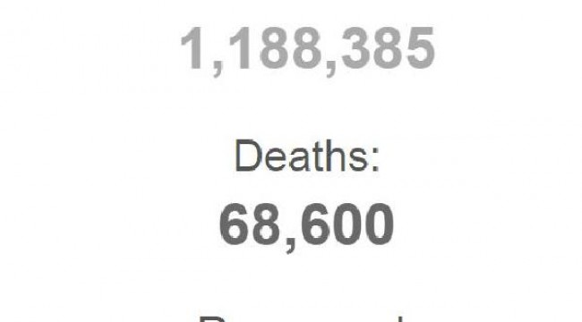 ABD'de koronavirüsten ölen kişilerin sayısı 68 bini geçti