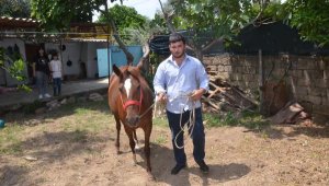 Alnında kuş figürü bulunan 'Casper' görenleri şaşırtıyor