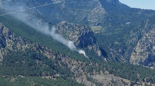 Antalya'da orman yangını çıktı