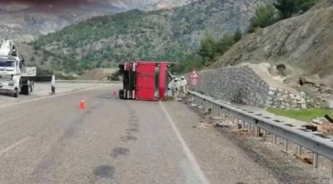 Devrilen kamyondaki binlerce arı yola dağıldı; 2 yaralı