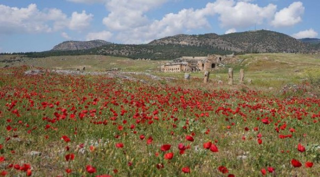 Hierapolis Antik Kenti'nde çiçeklerle görsel şölen