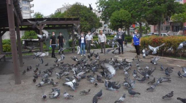 İzmir'de sokak hayvanları için mama seferberliği