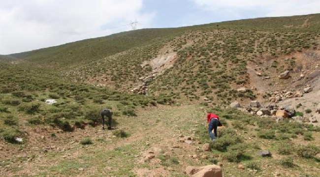 Karlıovalılar arazide meteor arıyor