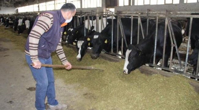 Kayseri'de besici ve çiftçiler, 1 Mayıs'ta çalıştı