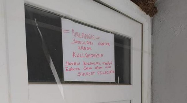 Kırlangıçlar cami tuvaleti kapısına yuva yaptı, mahalleli önlem aldı