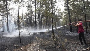 Kütahya'daki orman yangını kontrol altına alındı