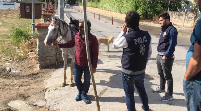 Plajda atlarıyla gezen ciritçilere 16 bin TL ceza