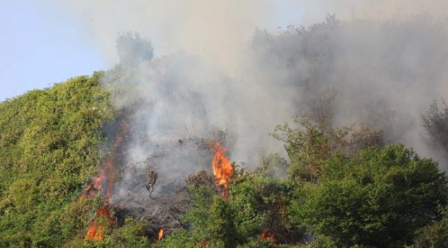 Rize'de orman yangınına yol olmadığı için müdahale edilemiyor