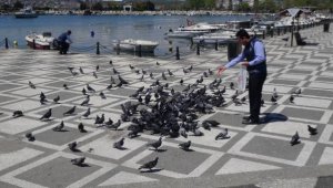 Sahipsiz hayvanları zabıtalar besledi