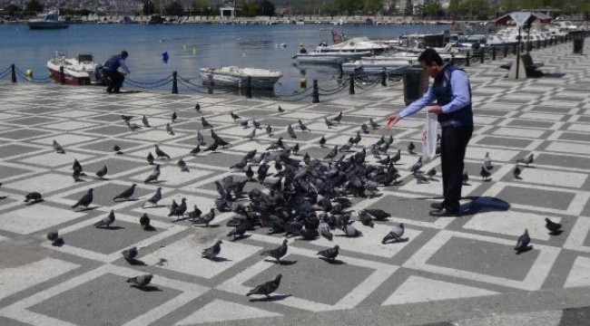 Sahipsiz hayvanları zabıtalar besledi