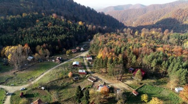 Zonguldak'ın Gümeli beldesinde ilk vaka tespit edildi