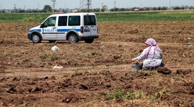 Adana'da silahlı 'başak' kavgası: 4 yaralı