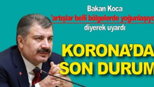 Bakan Koca 'artışlar belli bölgelerde yoğunlaşıyor' diyerek uyardı