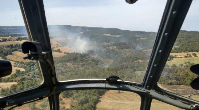 Çanakkale'de orman yangınında 3 hektar ormanlık alan zarar gördü