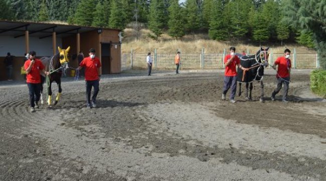 Elazığ'da at yarışı heyecanı 82 gün sonra başladı