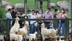 Hayvanat bahçesinde hafta sonu yoğunluğu