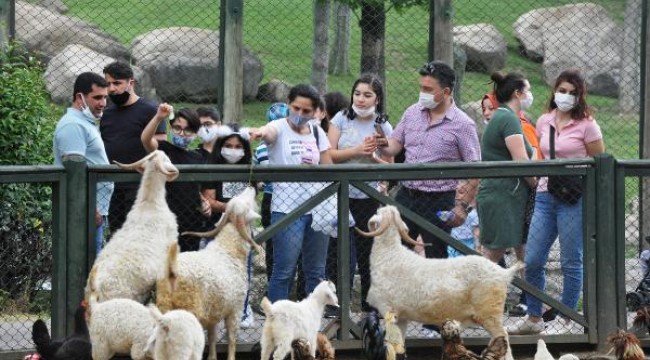 Hayvanat bahçesinde hafta sonu yoğunluğu