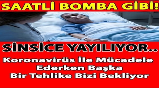 Koronavirüs İle Mücadele Ederken Başka Bir Tehlike Bizi Bekliyor SİNSİCE YAYILIYOR