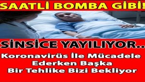 Koronavirüs İle Mücadele Ederken Başka Bir Tehlike Bizi Bekliyor SİNSİCE YAYILIYOR