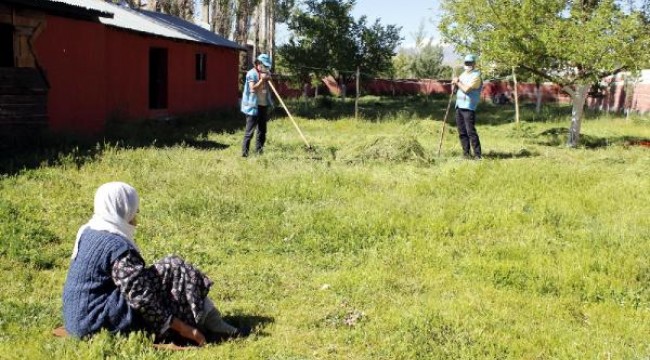 Mürvet Nine'nin bahçesindeki otları Vefa ekibi biçti