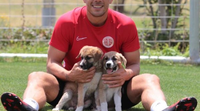 Yavru köpeklere, Antalyaspor sahip çıktı