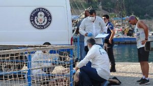 Balıkçılar caretta sandı, erkek cesedi çıktı