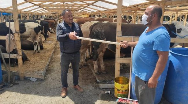 Kurban pazarlarında hareketlilik başladı