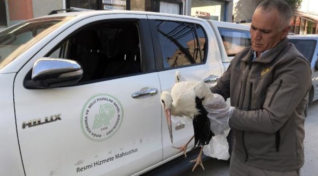 Bacakları kırık leylek tedaviye alındı  