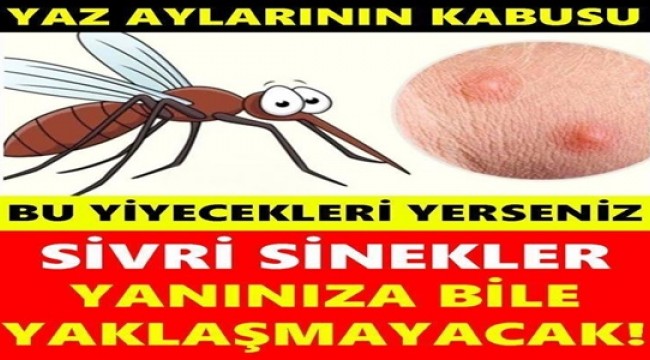 Bu Yiyecekleri Yerseniz Yaz Aylarının Kabusu Sivrisinekler Yanınıza Bile Yaklaşmayacak!