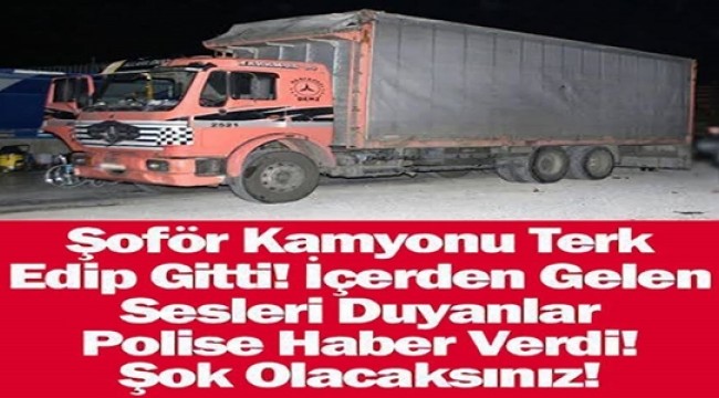 ŞOFÖR KAMYONU TERK EDİP GİTTİ! İÇERİDEN GELEN SESLERİ DUYANLAR KAMYON AÇILDIKTAN SONRA ŞOK OLDU!