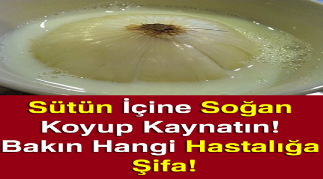 Sütün İçine Soğan Koyup Kaynatın! Bakın Hangi Hastalığa Şifa!