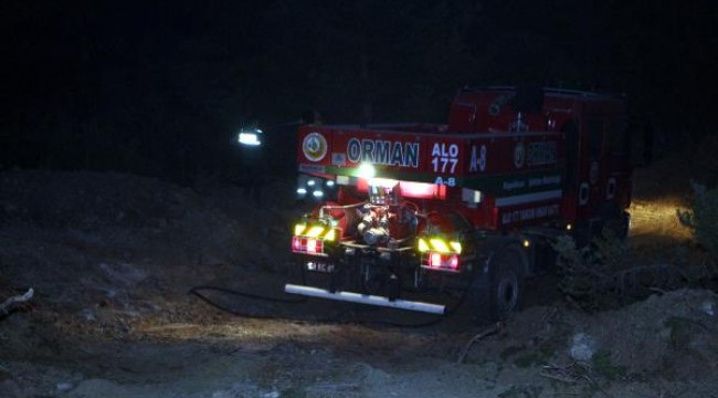 Tokat'ta orman yangını