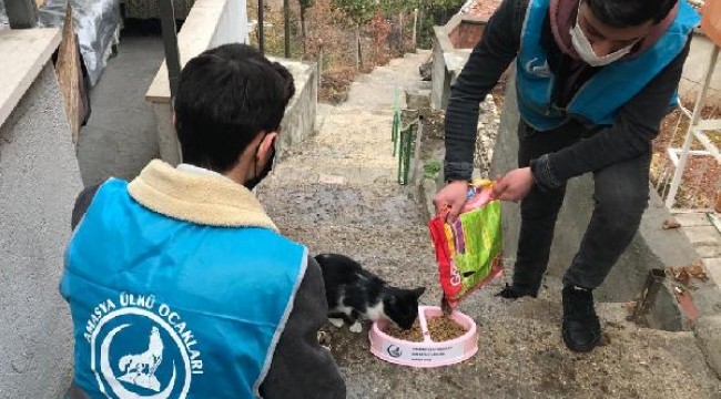 Amasya'da kısıtlamada sokak hayvanları unutulmadı