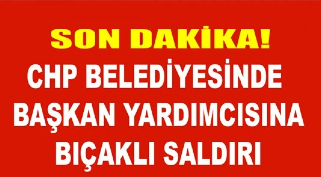 Bodrum Belediyesi'nde bıçaklı saldırı, 2'si başkan yardımcısı 3 kişi yaralandı