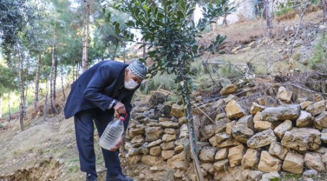 Çöplüğü ormana çeviren Şeyhmus amca: Son nefesime kadar ağaç dikeceğim