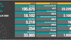 Koronavirüs salgınında can kaybı 19 bin 115'e yükseldi