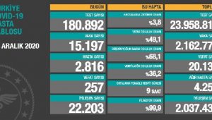 Koronavirüs salgınında can kaybı 20 bin 135'e yükseldi