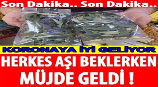 KORONAYA İYİ GELİYOR ! İLGİ ARTTI