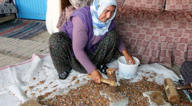 Yıllardır ürettiği andız pekmeziyle 2 çocuğunu okuttu