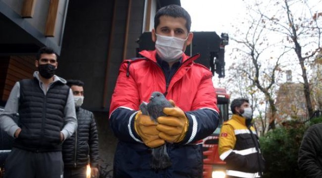 Avcılar'da balkona sıkışan güvercini itfaiye kurtardı