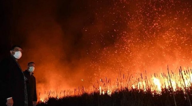 Bataklıkta çıkan yangın yerleşim yerlerine sıçramadan söndürüldü