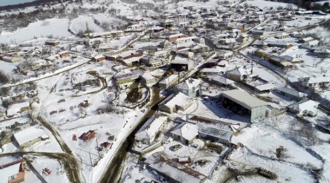 Edirne'de kar çiftçinin yüzünü güldürdü; üründe yüksek verim bekleniyor