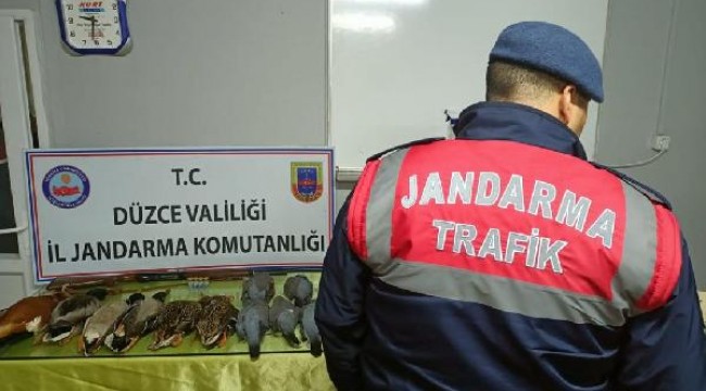 Kaçak avcı jandarmanın yol uygulamasında yakalandı:13 bin 878 lira ceza