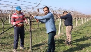 Kısıtlamadan muaf olan çiftçiler, tarlada çalıştı