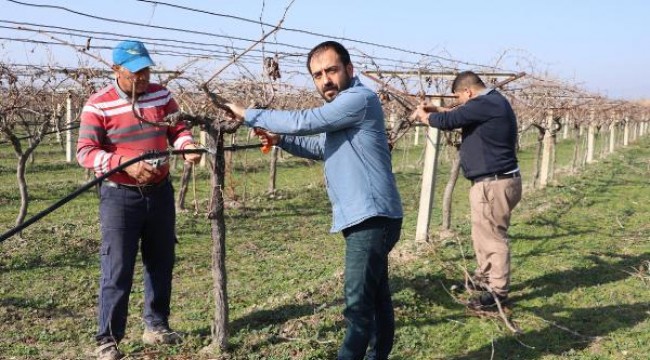 Kısıtlamadan muaf olan çiftçiler, tarlada çalıştı