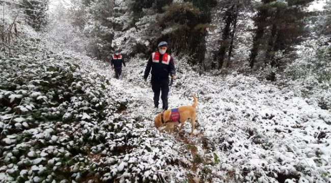 Kocaeli'de kayıp doktoru arama çalışmaları sürüyor